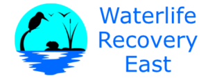 Wre Program Waterlife Recovery East - Saving our native wildlife