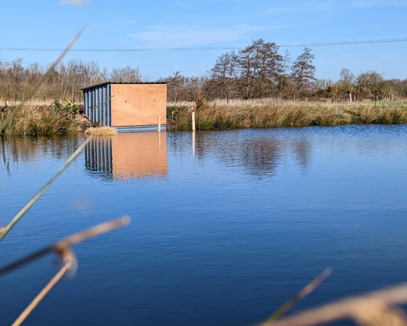 WRT News Blog - Waterlife Recovery Trust